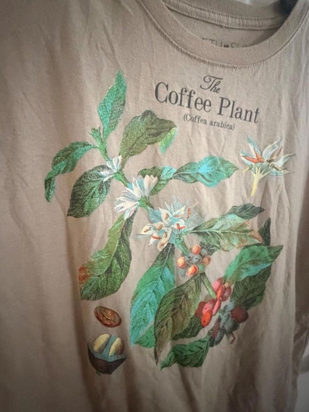 Fifth Sun Tan Graphic Tee with Black Print